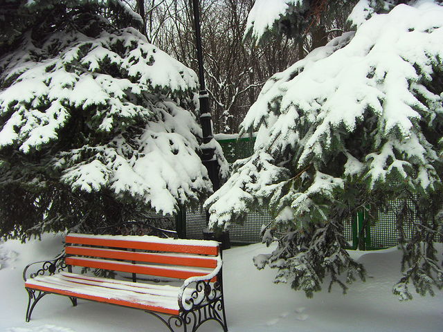 Зима в свой колокол пробила