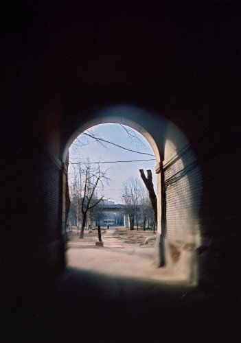 Весна подружка