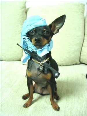 По привычке