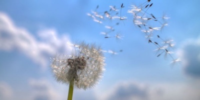 Вопрос вопросов?