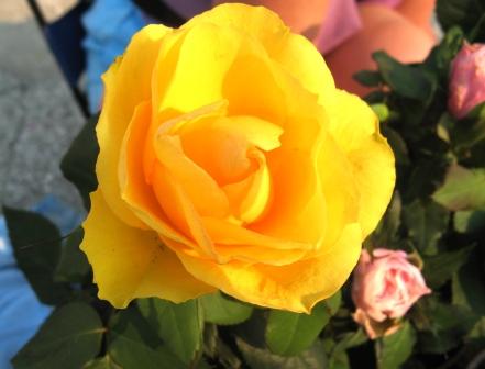 Сплести узор судьбы иной...