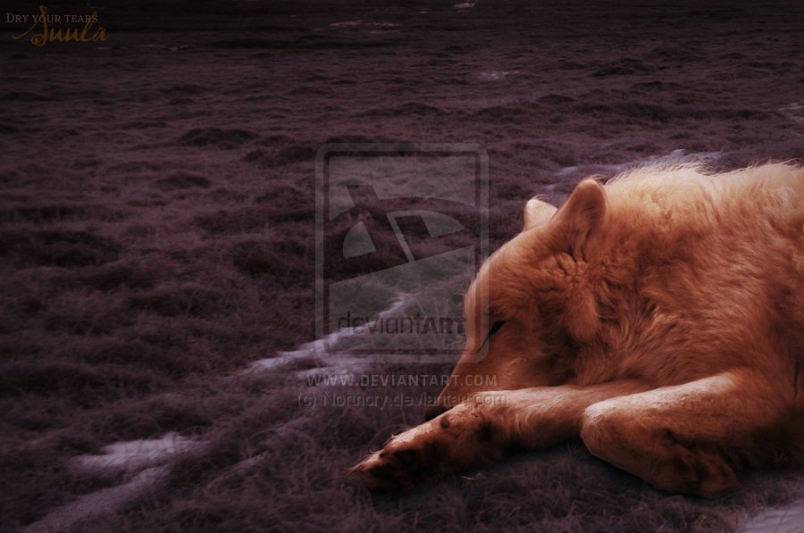 Посвещается людям с которыми я прекратила общение