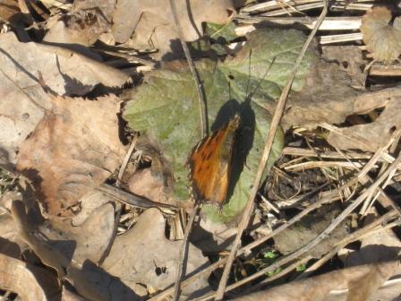 Все проходит