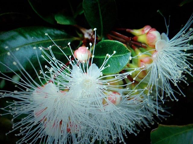 Эмоция Светлане Непомнящей