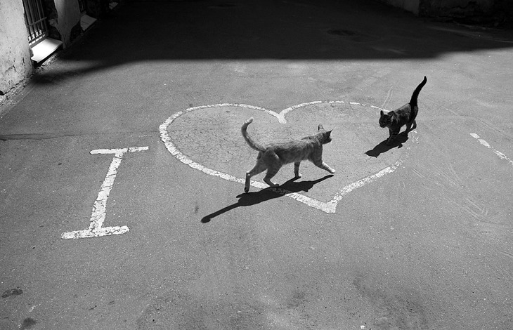 Я не посмел... ответить ей отказом