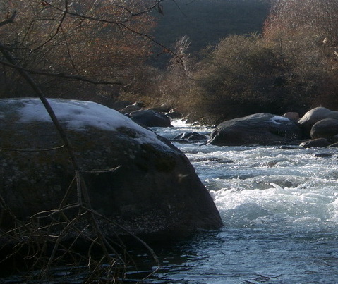 Праздность дум как сфинкса изваянье