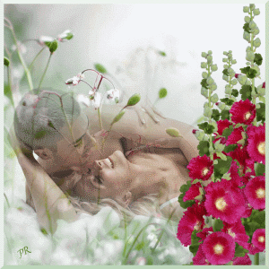 Я поцелуями в рассвет тебя укрою...