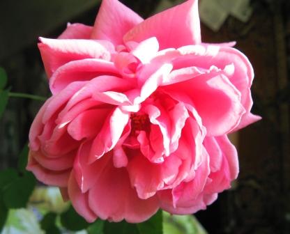 Не стоит унывать!..