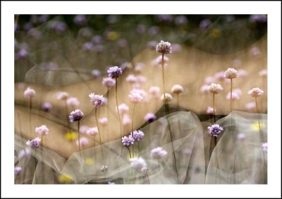 Где ж тот рай, иль пристанище милое?