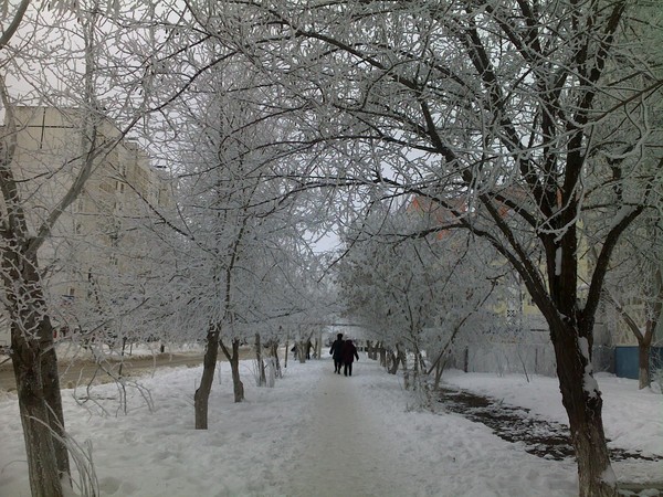 Зима в городе