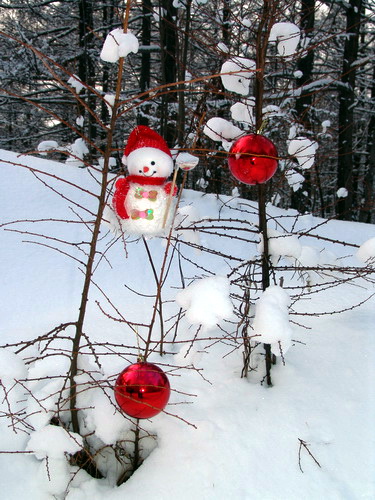 Просто в дар