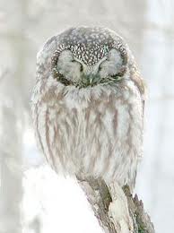 Холодными губами