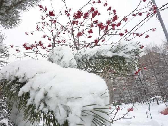 Берегите Деда Мороза! сексъюмор