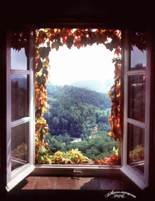 Лето, сирень и любовь...