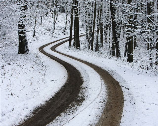 Стоп! - ещё не прошёл этот год
