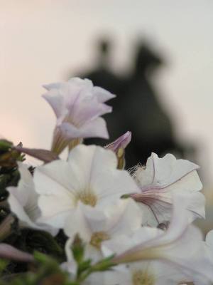 Парочки на набережной