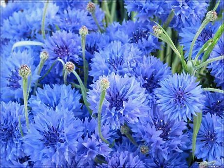 Во мне проснулась нежность