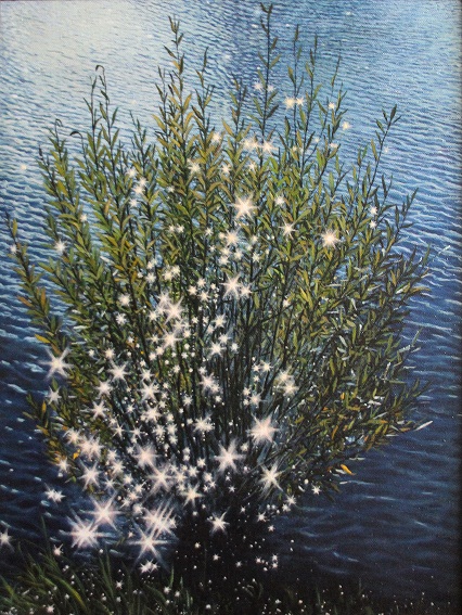 звёздный куст России