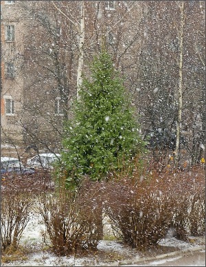 долгожданный...