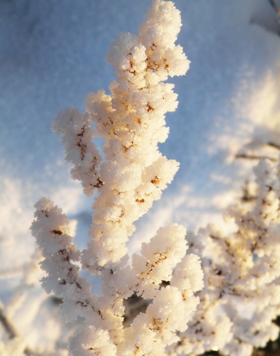 Белым бисером