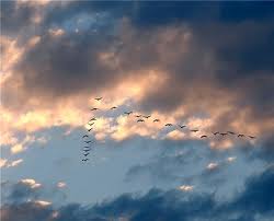 Зима, как саваном