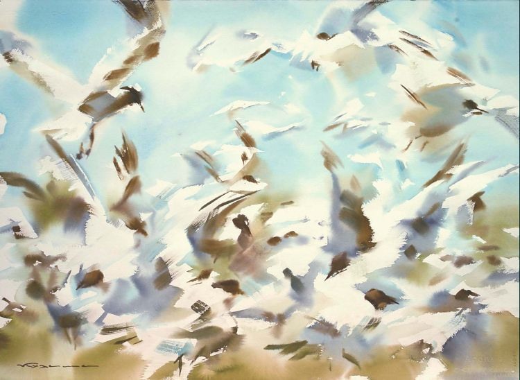 я слишком чаек не люблю