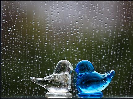 День дощить