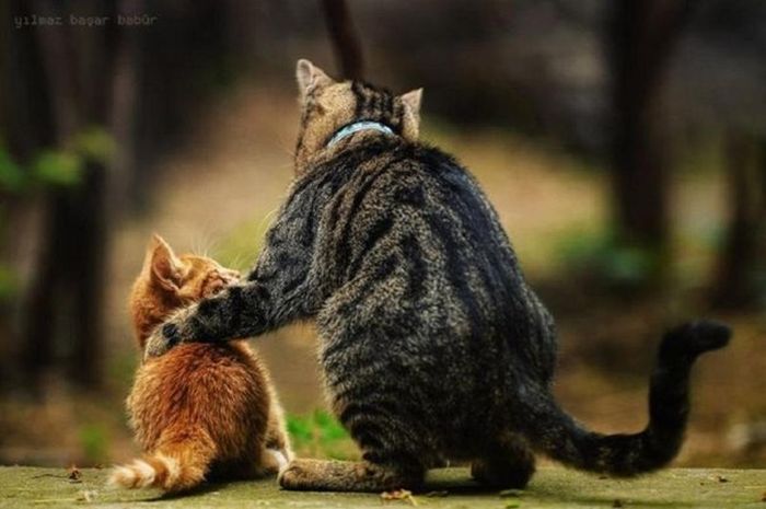 Поучения внуку Ярославу