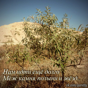 Этюды к рассказу Господин своей свободы