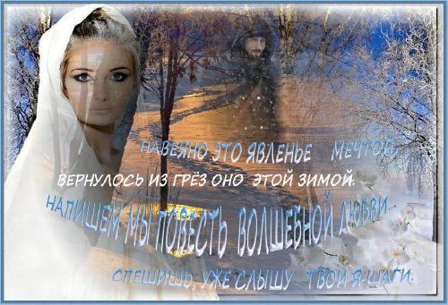 Цветы орхидеи, как нежность из снов