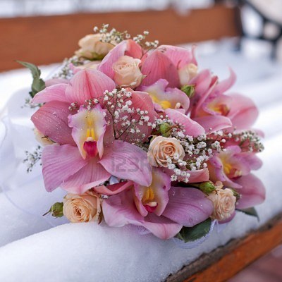 Орхидея на снегу...