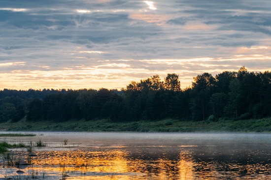 Сужающиеся круги
