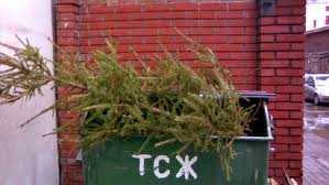 Я видела ёлку