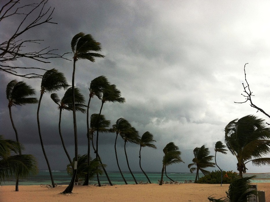 Храни нас бог