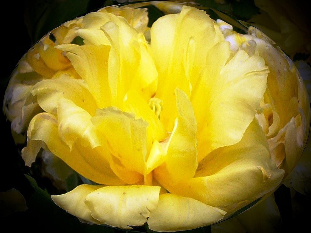 Пускай дождутся