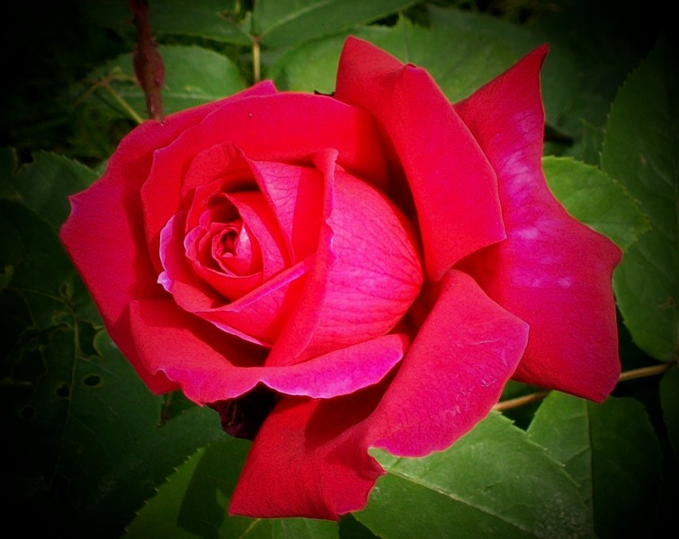 До той поры