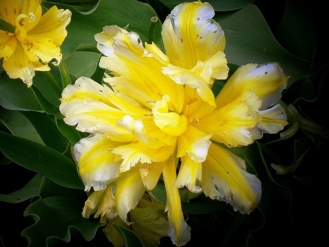 Ты меня отпустил