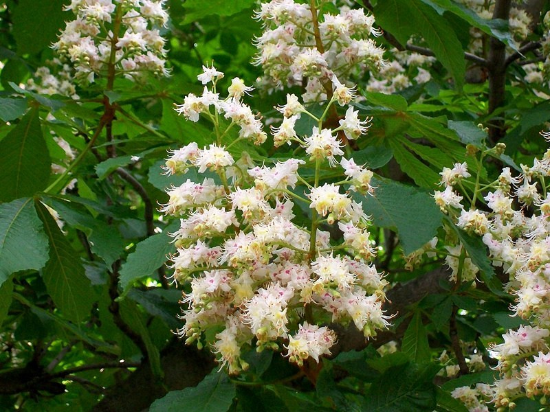 Если рифма прекратится