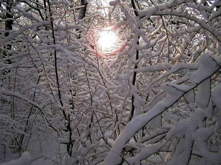 Снежное солнце