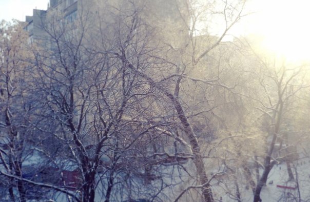 Счастливый бред