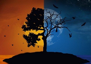 Вопрос... Ответ... Кирилл Куликов