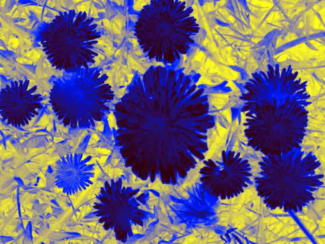 Когда выходиш ты на свет,