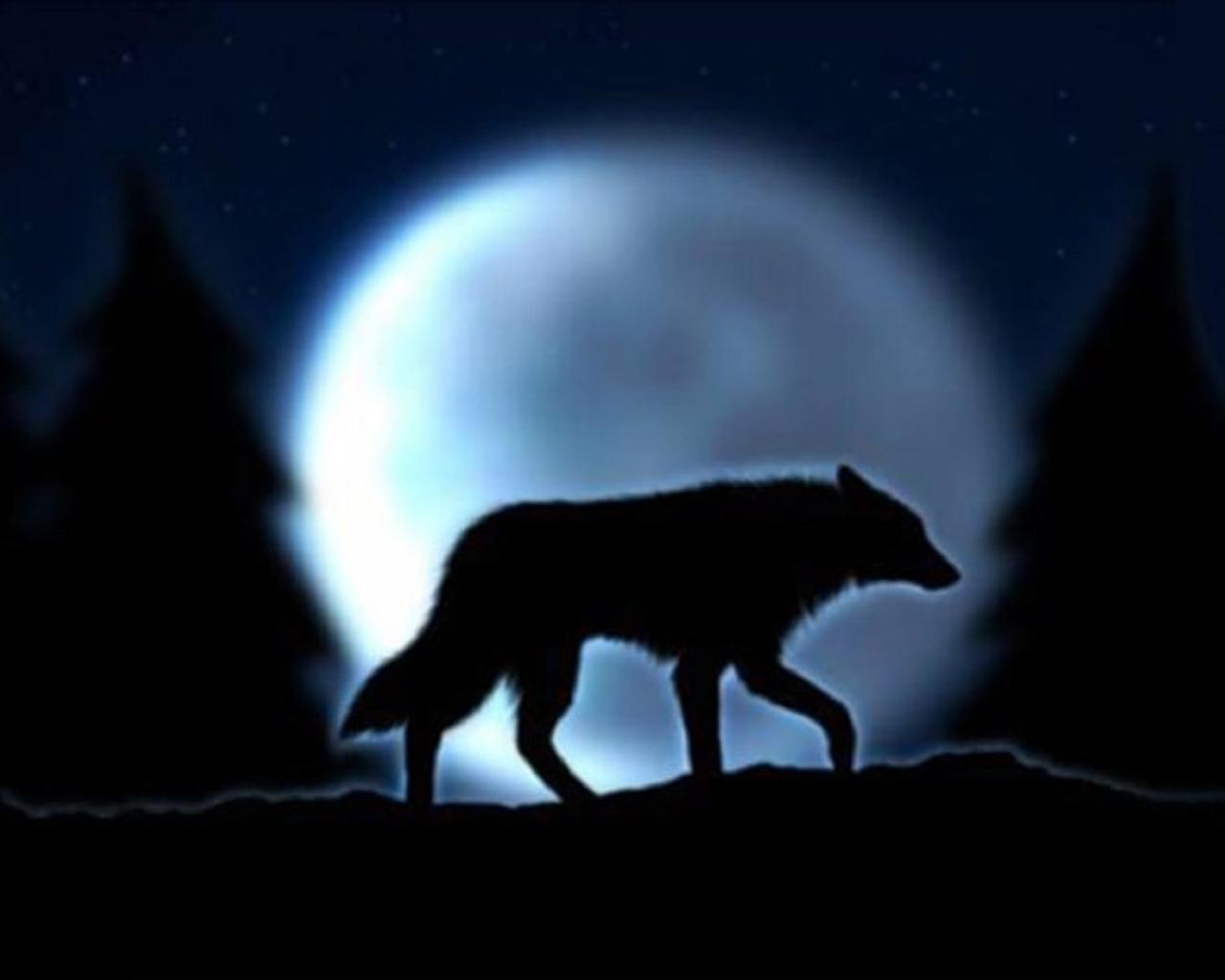 Волк пытающийся съесть луну в мифах