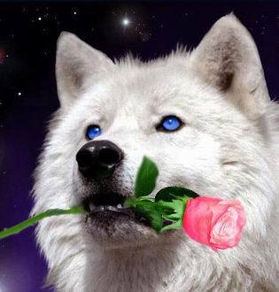 Ужель опять не быть свободным