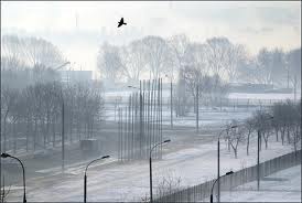 Над каменными корОбками