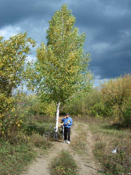 Прогулка в осень