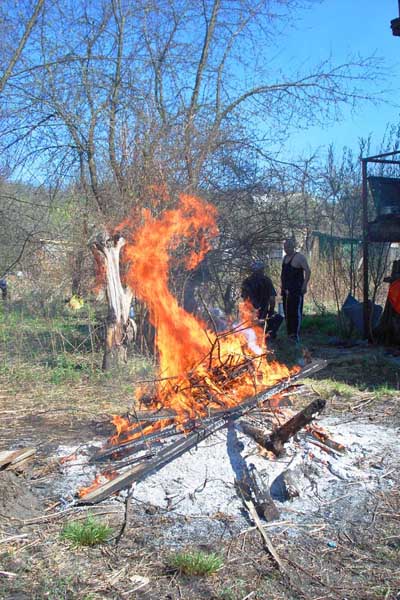 Зов предков