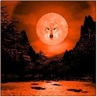 Горькая победа