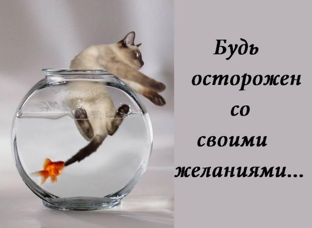 В желаниях