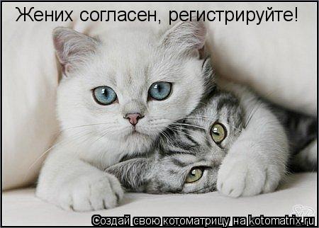 Любовь и Мозг